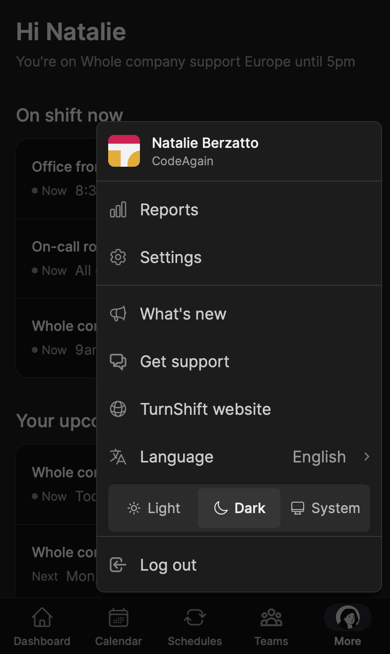 The tab bar at the bottom of TurnShift on a phone, with More open above it